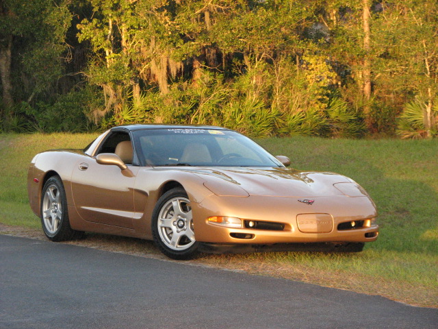 C5 Aztec Gold 1998