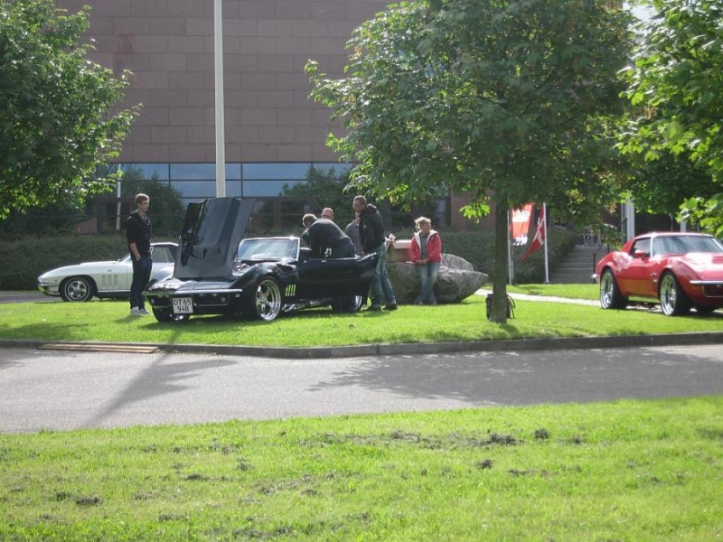 sommer2010 6
