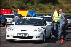 skandinavisk corvettetr f 2011 af sebastian. 021