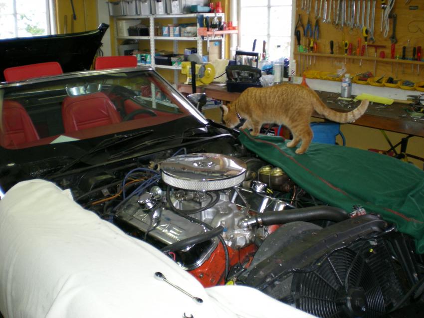 DSCN1565.jpg