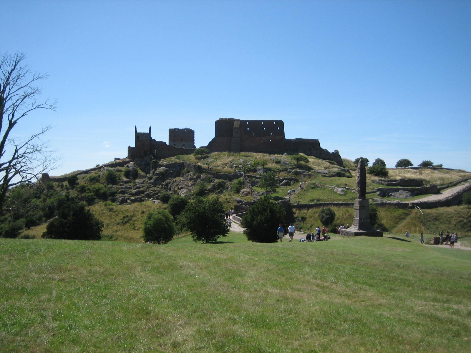 77.jpg