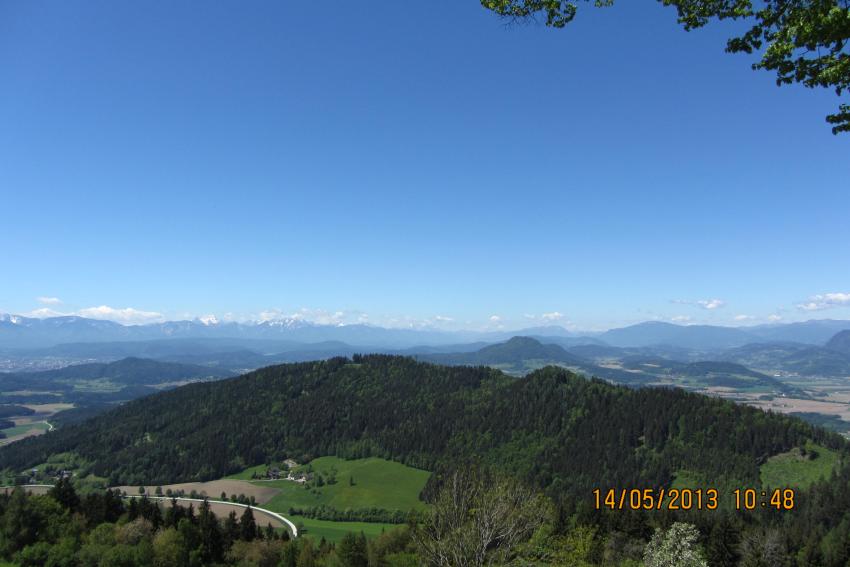 IMG_0505.jpg