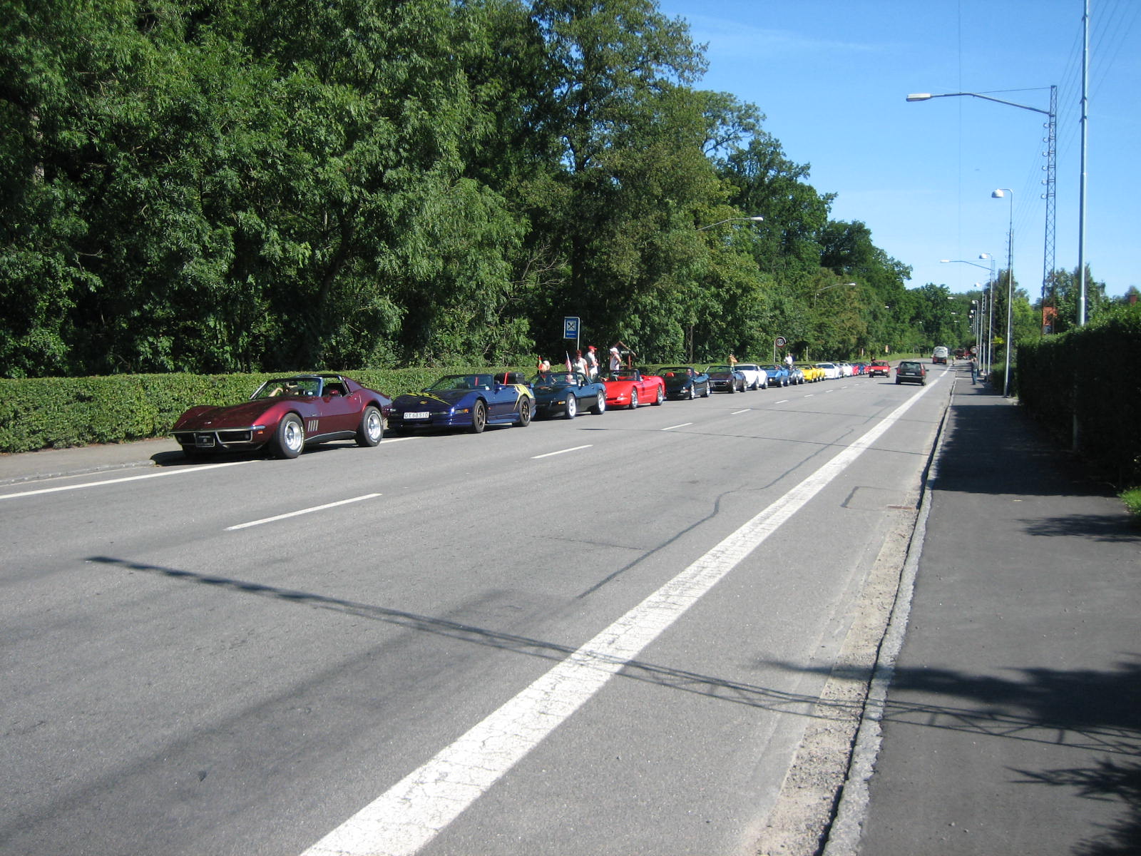 81.jpg