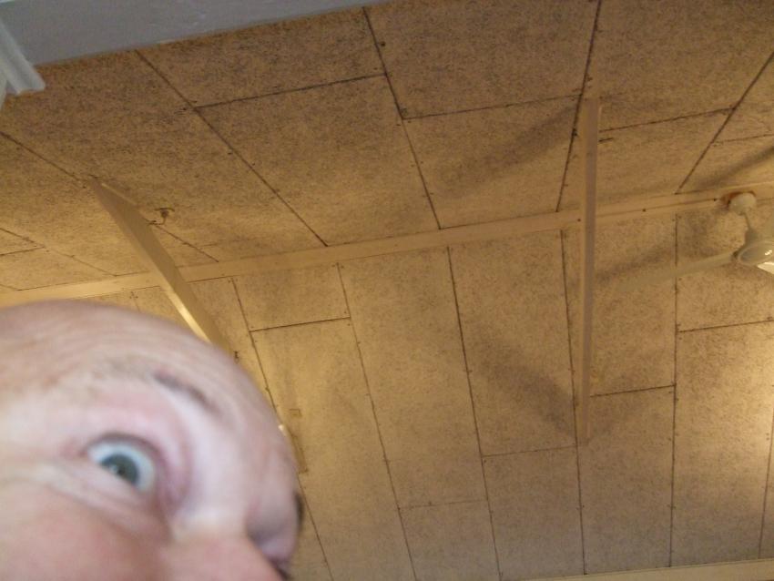 DSCF5893.jpg