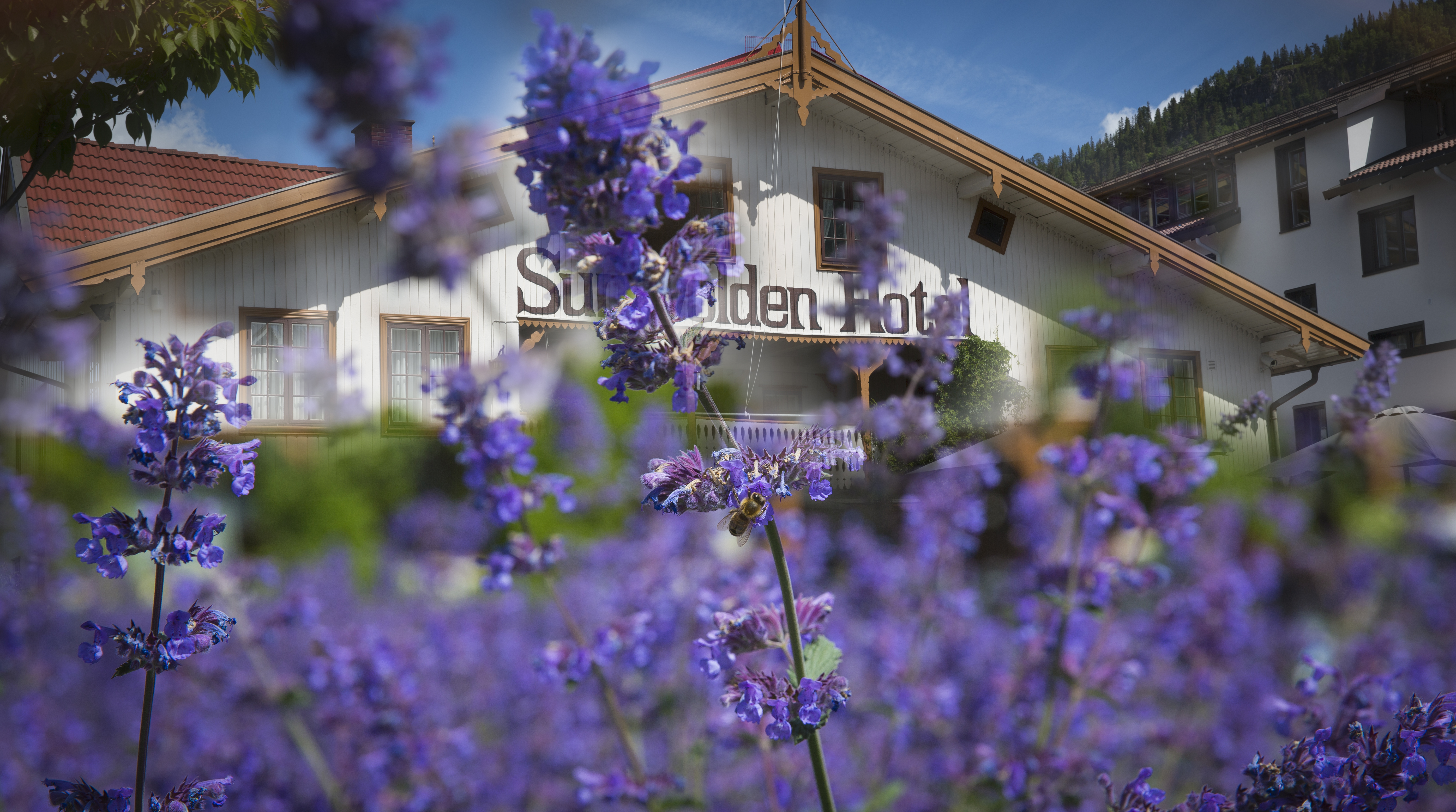 Sundvolden Hotell.jpg
